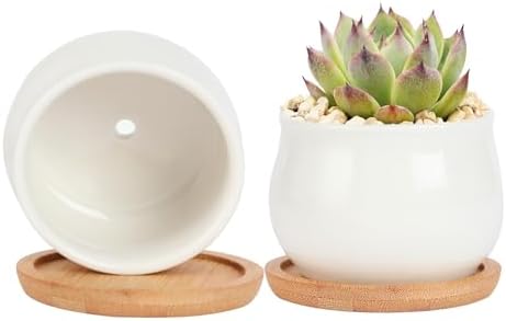 SHECIPIN 2 Pack Succulent Pots, 2.5 Inch Mini Ceramic Pots for Flower or Cactus Plants with Drainage Hole,Plants Not Included (White) by SHECIPIN