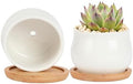 SHECIPIN 2 Pack Succulent Pots, 2.5 Inch Mini Ceramic Pots for Flower or Cactus Plants with Drainage Hole,Plants Not Included (White) by SHECIPIN