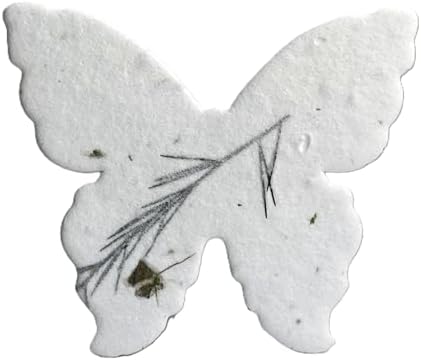 Wildflower Seed Paper Butterfly Shape - Large 3" - Set of 24 (36s Fern & Chard) by OfTheEarth