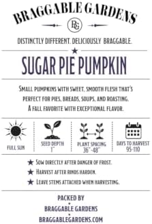 Sugar Pie Pumpkin Seeds for Planting, Heirloom Pie Pumpkin Vegetable Seeds, Sweet Baking Pumpkin Variety, Fall Harvest Crop for Pies, Roasting, Soups and Home Garden Growing - Image 3
