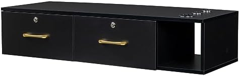 Wall Mount Styling Barber Station for Hair Stylist, Beauty Salon Spa Equipment, Salon Cabinet Station with Locked Storage Drawer, 3 Hair Dryer Holders (Black) by Unknown