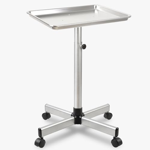 Salon Tray on Wheels, Hair Stylist Tray with Adjustable Height, Silver by TakeashineSalonEquip