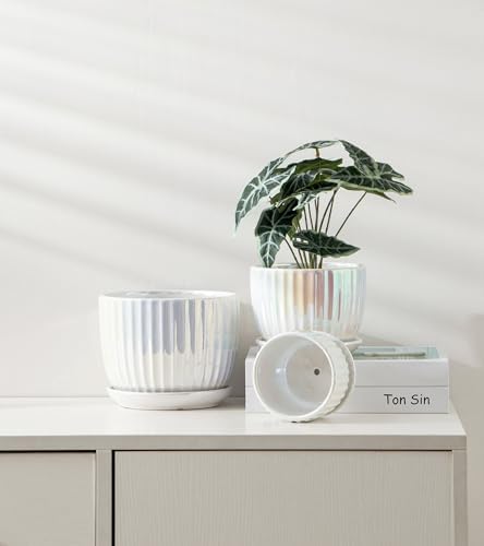 Plant Pots,Ceramic Flower Pots with Drainage Holes & Saucer Set of 3（Pearl） - Image 5