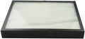SE 16"x12"x2" Inch Glass Top Riker Display Box with Metal Clips - Deep Case for Jewelry, Gems, Stones, Coins, Stamps, Butterflies - Secure Closure, Polyester Filled by SE