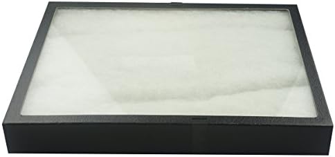 SE 16"x12"x2" Inch Glass Top Riker Display Box with Metal Clips - Deep Case for Jewelry, Gems, Stones, Coins, Stamps, Butterflies - Secure Closure, Polyester Filled by SE