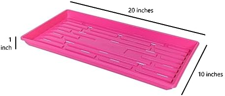 SUNPACK 10" x 20" Heavy Duty Shallow Plastic Seed Starting Tray, Magenta, 1" - Lined with Drainage Holes for Excess Water and Aeration, Ideal for Greenhouses or Indoor Gardening - Image 3