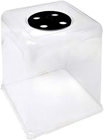 Bootstrap Farmer 5x5 Humidity Dome 5.5" Tall - 40-Pack - Microgreens, Propagation Seed Starter Lid, Seed Starting Germination Dome by BootstrapFarmer