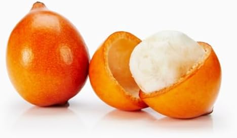 Achachairu/Garcinia Humilis/Achacha Live Fruit Tree (Arbol frutal vivo) 2-3ft by Unknown