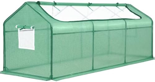 Quictent Mini Greenhouse for Indoor Outdoor, Portable Quick-Setup Tabletop by QUICTENT