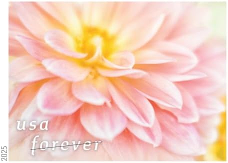 Dahlias 2025 (Strip of 20) First-Class Mail Forever Postage Stamps - Image 7