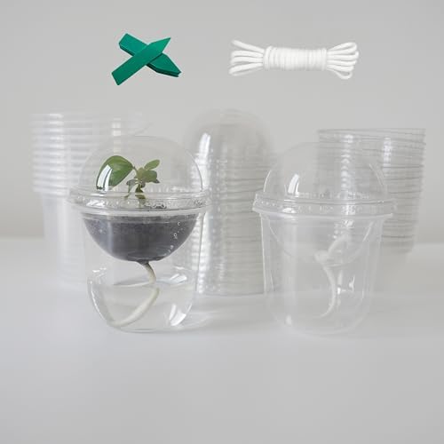 ORIMERC 4 inch Nursery Pots with Drainage, Garden Pots for Seeds, Seedling Pots for Plants, Self Watering Small Plant Pots, Plastic Seed Starter Planting Pots for Vegetable Fruit Flower (60 Set) by OrimercGarden