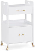 BarberPub Salon Trolley Cart with Magnetic Cabinet, Locking Wheels 2494 by BarberPub