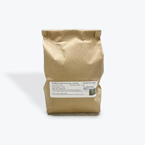 No Mow Lawn Grass Seed, Dwarf Fine Fescue Mix, Low Maintenance Lawn Seed, 1 Pound Pack - Image 2