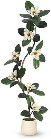 IDEALHOUSE 7ft Artificial Magnolia Tree, Faux Rubber Plant Floor Plant in White Planter, with 7 Pcs Magnolia Flowers for Home Decor for Home Office Living Room Decor by IDEALHOUSE