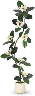 IDEALHOUSE 7ft Artificial Magnolia Tree, Faux Rubber Plant Floor Plant in White Planter, with 7 Pcs Magnolia Flowers for Home Decor for Home Office Living Room Decor by IDEALHOUSE