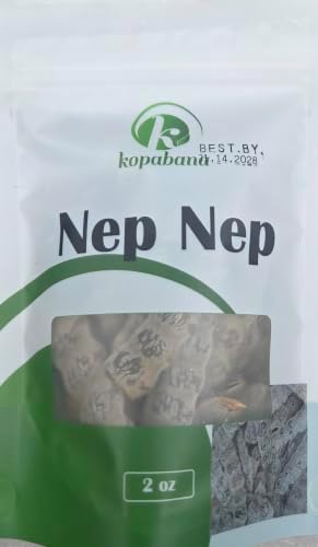 KOPABANA NEP NEP – Heat-Treated Acacia Nilotica Seeds (Non-Viable) – 2oz | Culinary Use | Traditional West African Spice Ingredient – Not for Planting - Image 3