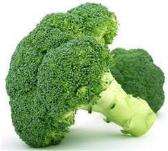 Bulk Organic Waltham Broccoli Seed (10 LB) Non GMO by DirtGoddessSuperSeeds