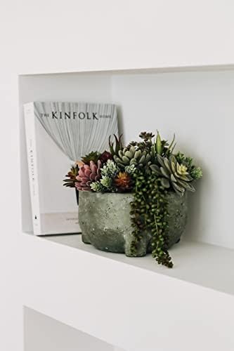 Artificial Succulent Plants Fake Assorted - 16 Pack - Unpotted Face Succulent Plants - Realistic Textured Succulents Picks - Fake Plants for Decoration - Faux Aloe Cactus Plant Bulk - Image 4