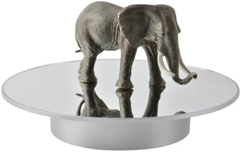 360°Motorized Rotating Display Stand, 10" Electronic Turntable 18lb Silver by SUSISANG