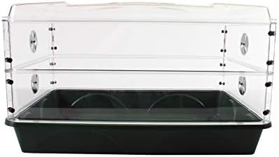 93807 Domed Propagator, 2 Height Extenders, Green - Image 4