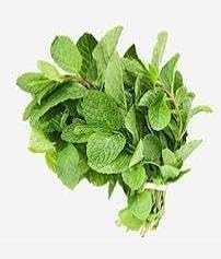 Set of 5 Vietnamese Vegetables Ngò GAI, Rau Càng Cua, Rau tía tô, Kinh giới, húng lũi Culantro Thai Parley, peperomia pellucida Plant Seeds and Vietnamese Perilla Seeds 1000++ Seeds/Bag - Image 5