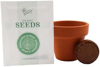 BUZZY Seeds Candy Cane Peppermint Grow Kit 6-Pack, Terracotta Pots - Image 4