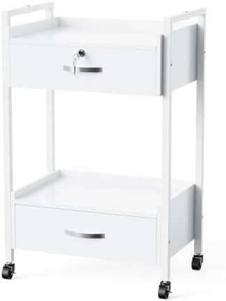 OmySalon Salon Trolley Cart with Wheels, Esthetician Cart with 2 Drawers & 2 Trays, Mobile Storage Organizer for Beauty Spa Massage Tattoo Esthetic Facial Tool Holder Station, White by OmySalon