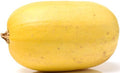40+ Spaghetti Squash Seeds for Planting - Heirloom Non-GMO USA Grown Winter Squash Seeds by RDR Seeds by RDRSeeds