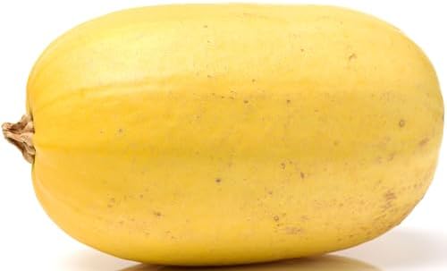 40+ Spaghetti Squash Seeds for Planting - Heirloom Non-GMO USA Grown Winter Squash Seeds by RDR Seeds by RDRSeeds