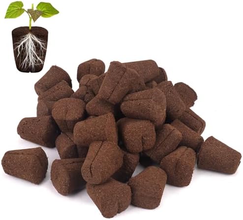50 Pcs Grow Sponges,Replacement Plant Starter Plugs for Cuttings and Propagation,Great for Soil, Tray or Planting Pods, Promotes Herbs, Vegetables and Flowers Growth by LAPOND