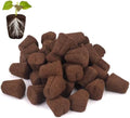 50 Pcs Grow Sponges,Replacement Plant Starter Plugs for Cuttings and Propagation,Great for Soil, Tray or Planting Pods, Promotes Herbs, Vegetables and Flowers Growth by LAPOND