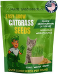 Cat Grass Wheatgrass Seeds, 1/2 lb - Non-GMO, Pet Safe by ToddsSeeds