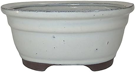Brussel's Bonsai - Small Ceramic Bonsai Planter, Oval Shape Bonsai Pot by BrusselsBonsai