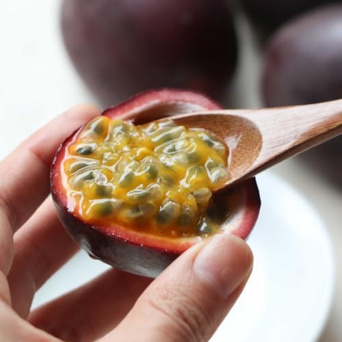 Purple Passion Fruit Live Plant, Well-Rooted Fruit Plant, 5-7 Inch Tall - Image 4