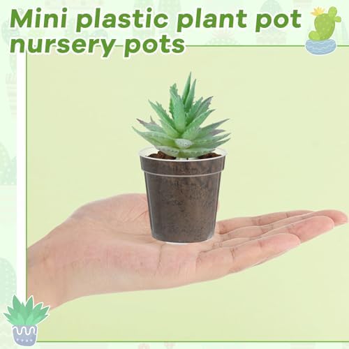 Yaomiao 80 Pcs 3 Inch Clear Nursery Pots with Drainage Holes - Image 4