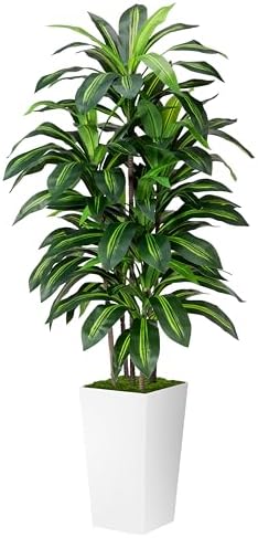 ASTIDY Artificial Plant 5FT Dracaena Fake Tree with White Tall Planter by ASTIDY