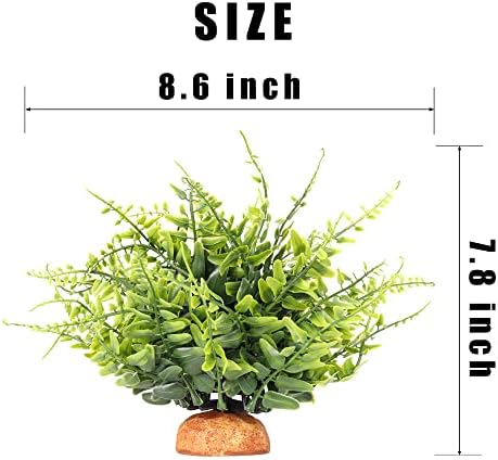 Green Boston Fern Reptile Plants, Amphibian Terrarium Habitat Décor - Image 2