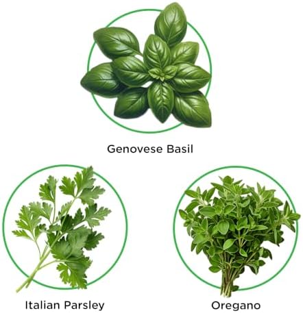 Italian Herbs Seed Pod Kit - Pre-Seeded & Hand Made in the USA - Image 2