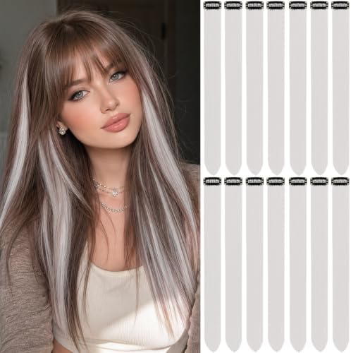Sliver Gray Hair Extensions Clip in Light Grey Hairpiece Gift 14PCS by LADYAMZ