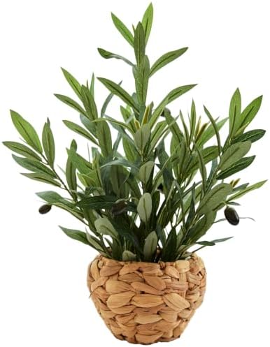 AlphaAcc Fake Potted Plant Small Olive Water Hyacinth Mediterranean Decor by AlphaAcc