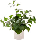 AlphaAcc Fake Plants Greenery Ficus Leaf Artificial Plant Indoor Bathroom Potted Faux Plant Decor with White Marble Planter for Kitchen Counter Bedroom Office Coffee Table Decoration by AlphaAcc