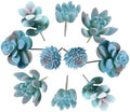 10 Pieces Fake Succulent Plant,Mini Artificial Succulents,Artificial Air Plants that Look Real,Plastic Plant for Garden & Outdoor Home Décor (Blue) by Unknown