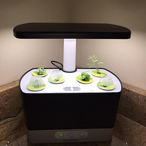 50 Pack Grow Domes, Replacement Grow Dome Caps Compatible with AeroGarden, Plant Covers for Hydroponic Growing System - Image 6