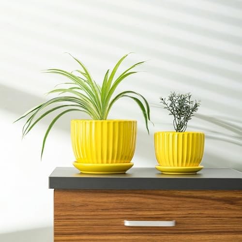 Ceramic Planters,Yellow Plant Pots with Drainage Holes and Saucers Set of 3 - Image 7