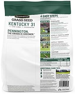 Pennington Kentucky 31 Tall Fescue Penkoted Grass Seed 3 lb, Green (Pack of 2) - Image 2