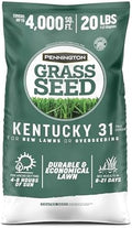 Pennington Kentucky 31 Fescue 20 lb Tall Fescue Grass Seed, Grass Seeds for Lawn by Pennington