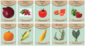 Vegetable & Herb Seed Set - 10 Varieties of Non-GMO Heirloom Premium Seeds for Planting - Squash, Watermelon, Pumpkin, and More! by FreedomFarms