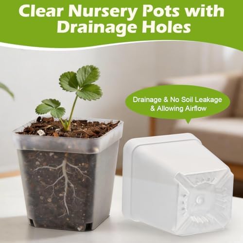 RooTrimmer 2.7 Inch Square Nursery Pots, 60 Packs Clear Seedling Pots with Drainage Holes, Reusable Propagation Pots Small Plant Container for Indoor Outdoor Gardening - Image 4