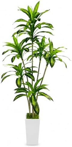 Artificial Dracaena Tree with White Tall Planter, 7FT by FLRLIVING