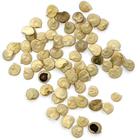 Organic Sweet Pepper Seeds (California Wonder) - Approx 25 Seeds - USDA Organic, Non-GMO, Open Pollinated, Heirloom, USA Origin - Image 4